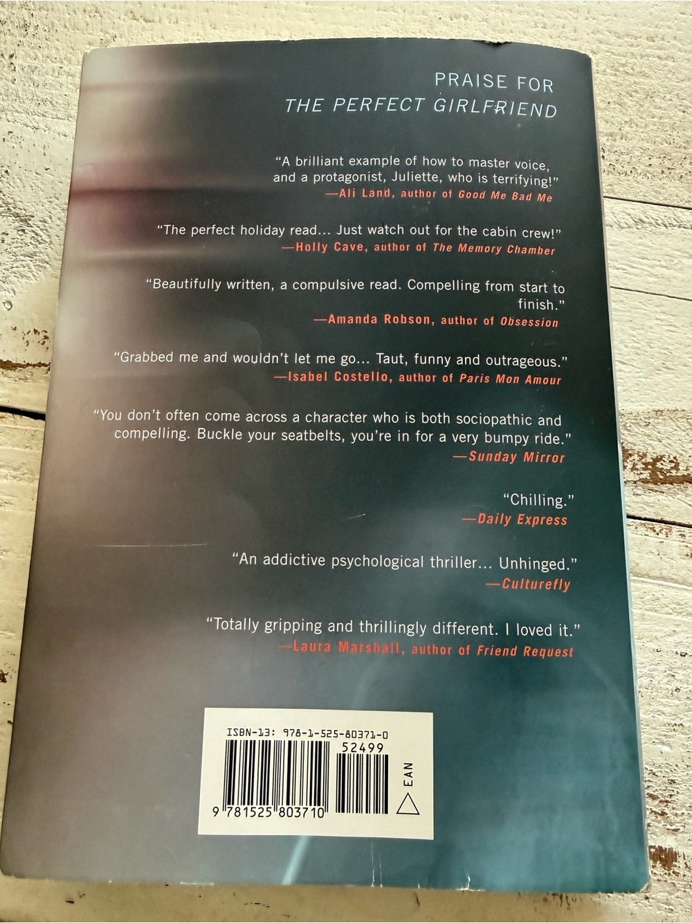 The Perfect Girlfriend by Karen Hamilton - Light Blue Cover - Picture 4 of 4